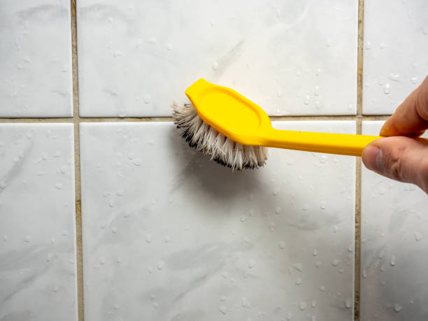 Best Toxic Mold Removal  in Enterprise, UT