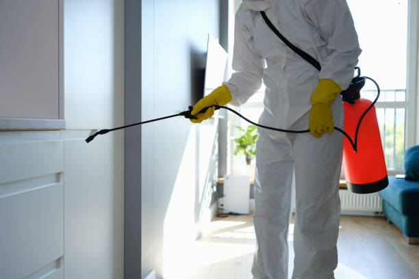 Best Fast Mold Removal  in Enterprise, UT