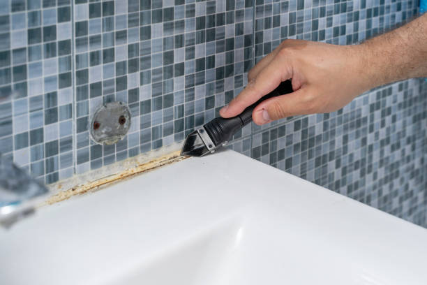 Best Certified Mold Removal  in Enterprise, UT
