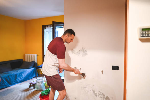 Best Attic Mold Removal  in Enterprise, UT